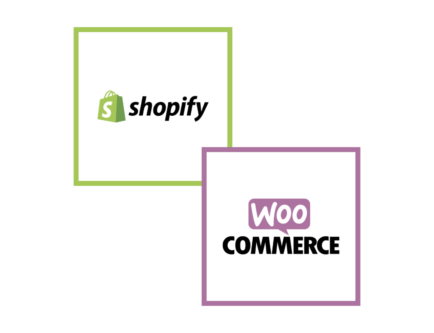 bw ecommerce